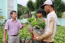 Kỷ lục gia thế giới hướng dẫn đồng bào Xơ Đăng trồng cà phê đặc sản