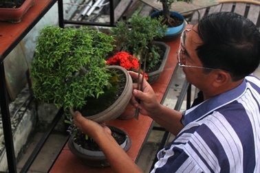 Tiền tỷ để… sân thượng