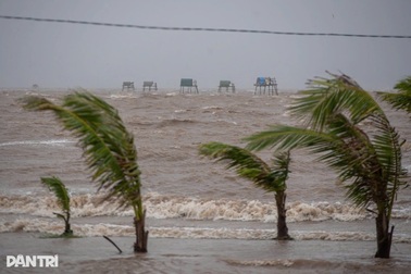 Nước vùng cửa sông ven biển Hưng Yên dâng cao, có trạm vượt lịch sử