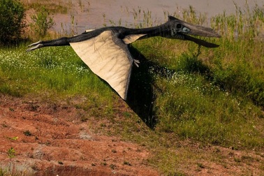 Phát lộ dấu vết bầy đàn khủng long sống cách đây 120 triệu năm