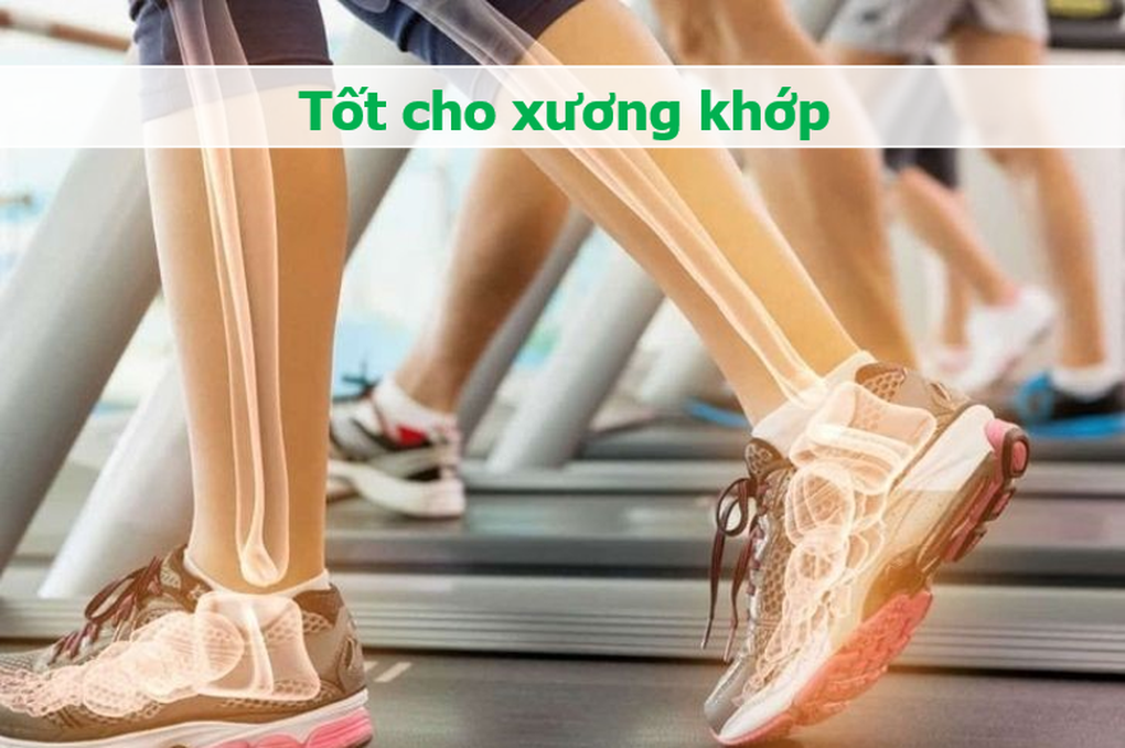 Phần hay bỏ đi khi ăn thịt gà lại đặc biệt tốt cho xương khớp, tim mạch - 1 Phần hay bỏ đi khi ăn thịt gà lại đặc biệt tốt cho xương khớp, tim mạch - 1