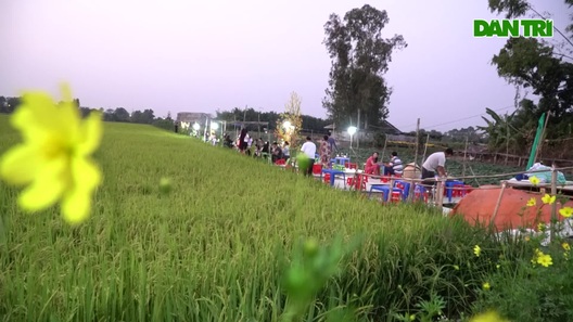 Quán chay giữa ruộng "hot" nhất miền Tây đón hàng trăm lượt khách mỗi ngày