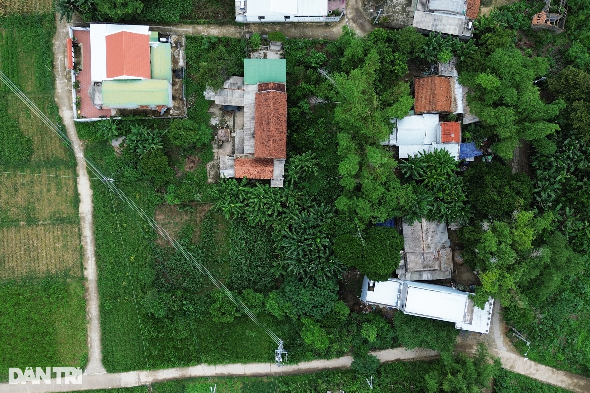 Đất đảo Ngọc ở Quảng Ngãi được tách thửa ồ ạt, chủ tịch tỉnh cũng bất ngờ - 7 Đất đảo Ngọc ở Quảng Ngãi được tách thửa ồ ạt, chủ tịch tỉnh cũng bất ngờ - 7