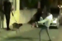 Nhảy nhót trêu ngươi chó nghiệp vụ, nhận hậu quả vào chỗ hiểm