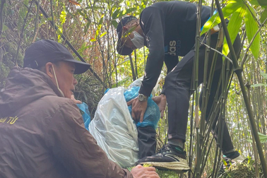 Vì sao suốt nhiều ngày không nghe được tiếng kêu cứu dưới vực sâu Yên Tử?