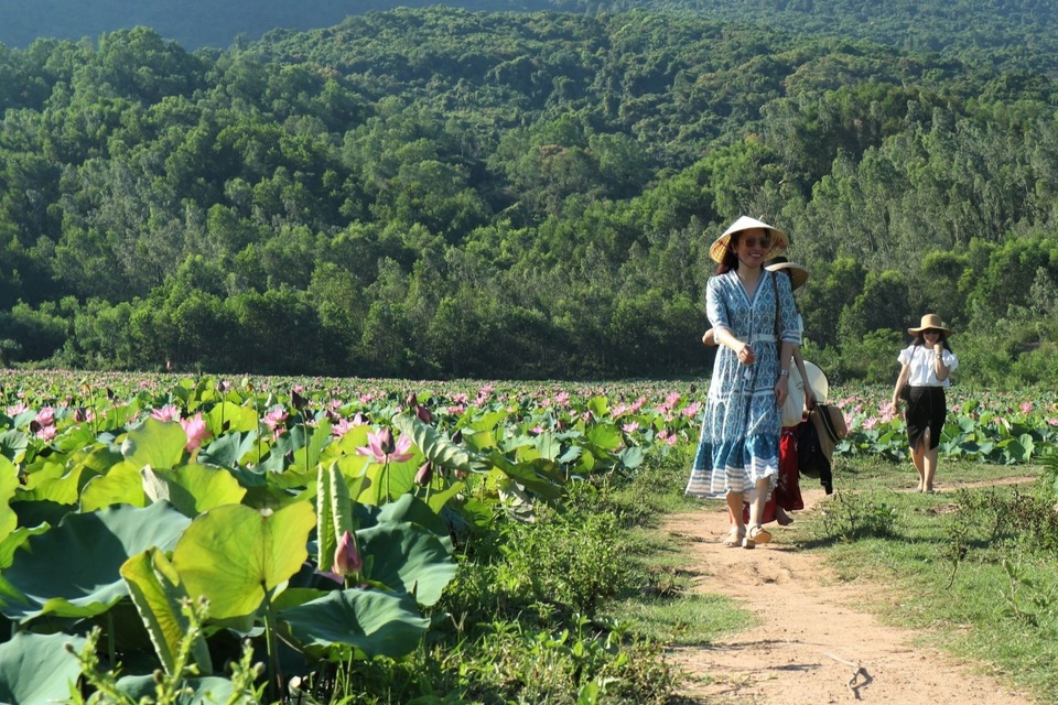 Cả làng trồng sen, chỉ bán hạt cũng lãi gấp đôi so với trồng lúa - 5 Cả làng trồng sen, chỉ bán hạt cũng lãi gấp đôi so với trồng lúa - 5
