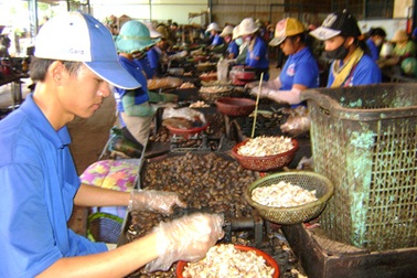 Việt Nam tham gia sáng lập Hiệp hội điều thế giới