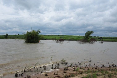 Thủy điện chặn dòng, chặn cả đường mưu sinh của dân