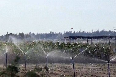 Kinh hãi nắng lửa, gió Lào miền Trung!