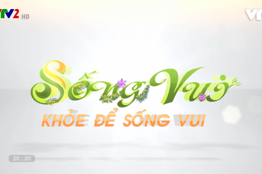 Chương trình sống vui VTV2