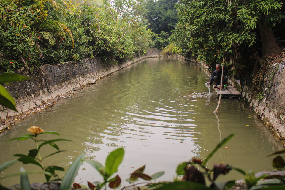 Nhà gỗ trăm tuổi chứa nhiều cổ vật quý của vị quan triều Nguyễn ở Hà Nam - 8 Nhà gỗ trăm tuổi chứa nhiều cổ vật quý của vị quan triều Nguyễn ở Hà Nam - 8