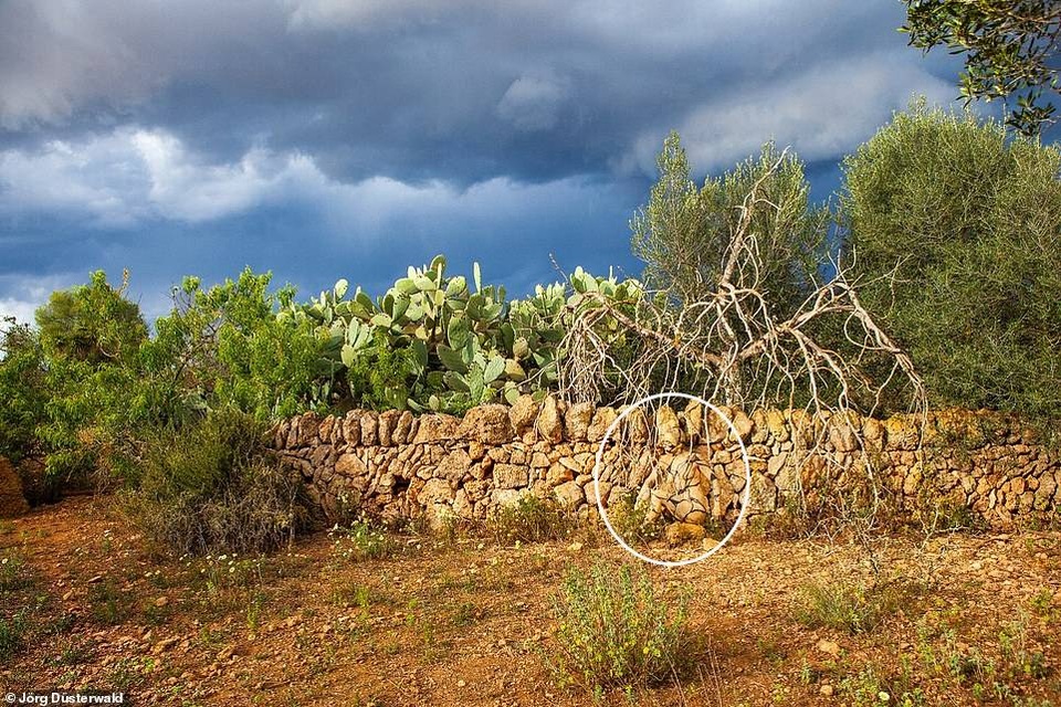 Bạn có nhìn thấy người mẫu khỏa thân trong ảnh này? - 22 Bạn có nhìn thấy người mẫu khỏa thân trong ảnh này? - 22