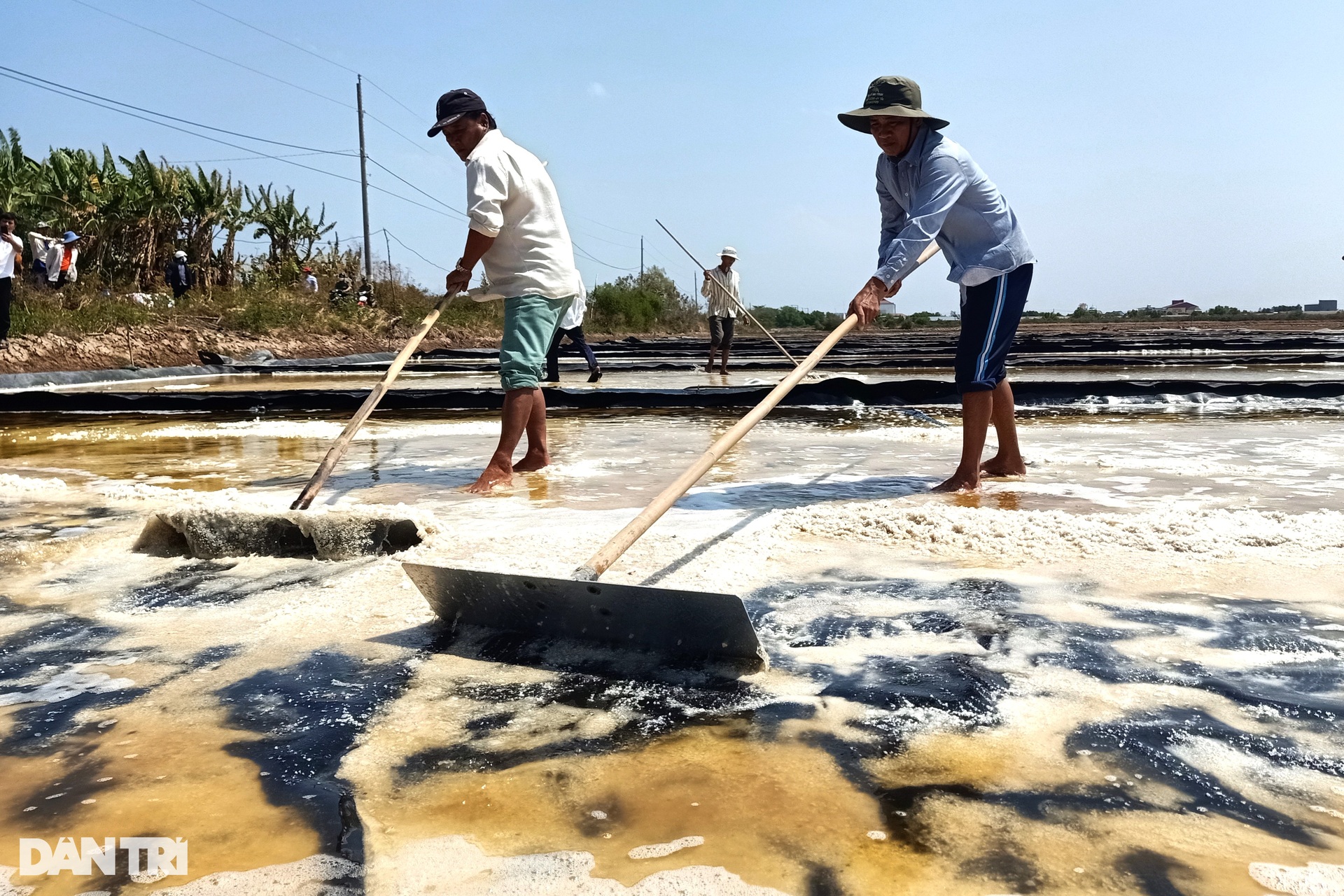 Nghề làm muối: Đang nắng ngon, lỡ mưa một cái xách giỏ về nhà luôn - 7