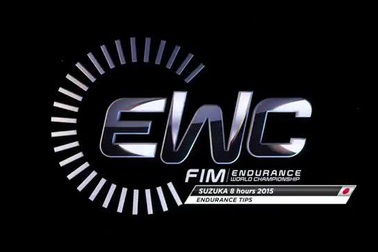 Tai nạn của tay đua Casey Stoner