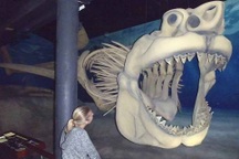 Quái vật tiền sử dài gần 20 mét: Nỗi khiếp sợ cho mọi giống loài dưới nước