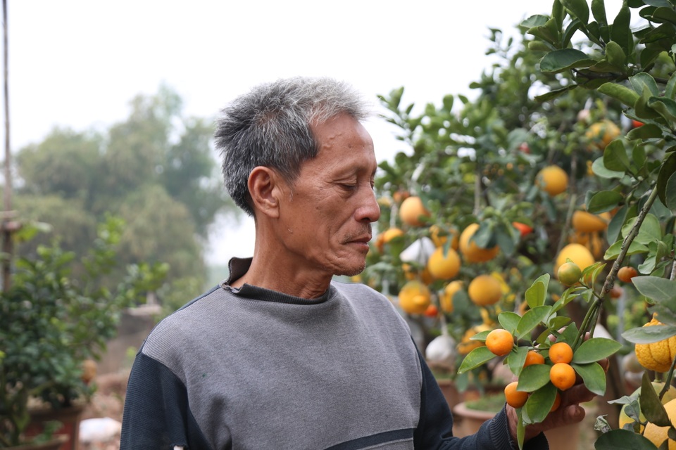 Cận Tết, lão nông thu hàng trăm triệu đồng nhờ cây có 7 thứ quả khác nhau - 1 Cận Tết, lão nông thu hàng trăm triệu đồng nhờ cây có 7 thứ quả khác nhau - 1