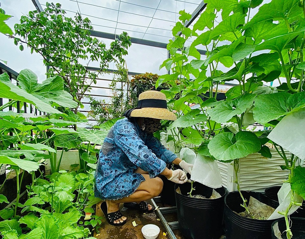 Ngắm vườn như rừng bách thảo trên sân thượng của nữ gia chủ ở Sài Gòn - 11