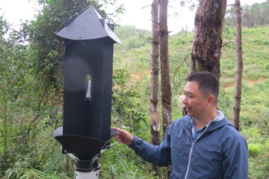 Australia giúp Việt Nam bảo vệ rừng trước nguy cơ từ sinh vật ngoại lai