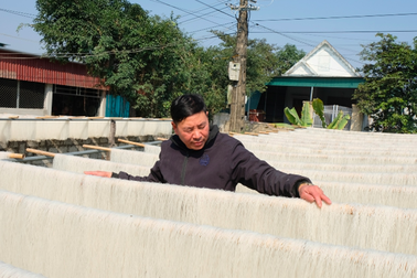 Làng nghề miến gạo tất bật phục vụ Tết