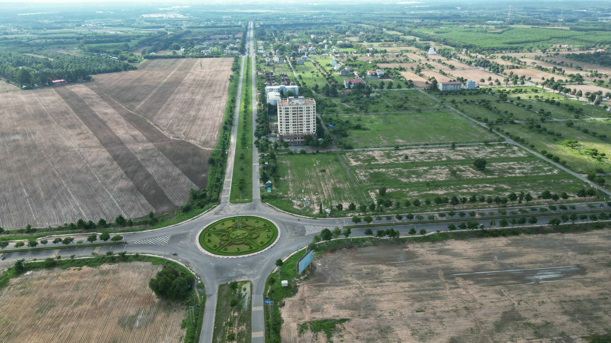 Bài 2: Sau 20 năm, thành phố ma ở Nhơn Trạch vẫn là nơi để… thả trâu - 2 Bài 2: Sau 20 năm, thành phố ma ở Nhơn Trạch vẫn là nơi để… thả trâu - 2