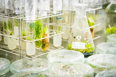 Thành lập Khu Công nghệ cao công nghệ sinh học Đồng Nai