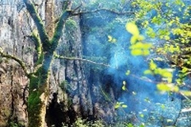 Đưa dịch vụ đu dây trên không vào khám phá Phong Nha - Kẻ Bàng   