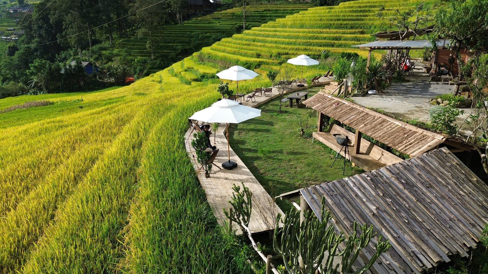 Cặp đôi thuê gần 800m2 đất ở Sapa, cải tạo nhà hoang thành điểm chữa lành - 7 Cặp đôi thuê gần 800m2 đất ở Sapa, cải tạo nhà hoang thành điểm chữa lành - 7