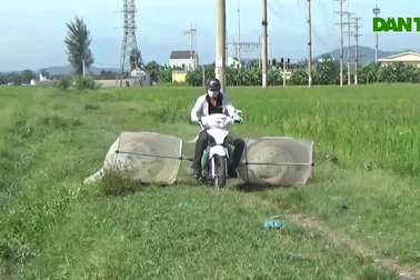 Người dân kiếm tiền triệu mỗi ngày nhờ việc săn lùng "tôm bay"