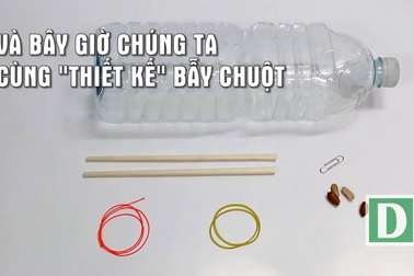 Mẹo chế “máy bắt chuột” bằng chai nhựa