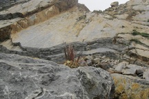 Một năm sau thảm họa Lèn Cờ - Ám ảnh nỗi đau!