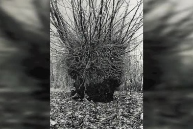 Câu chuyện phía sau dòng chữ kỳ lạ khiến ai đi qua nhìn thấy cũng bị ám ảnh