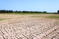 Hạn hán, xâm nhập mặn sẽ còn khốc liệt hơn