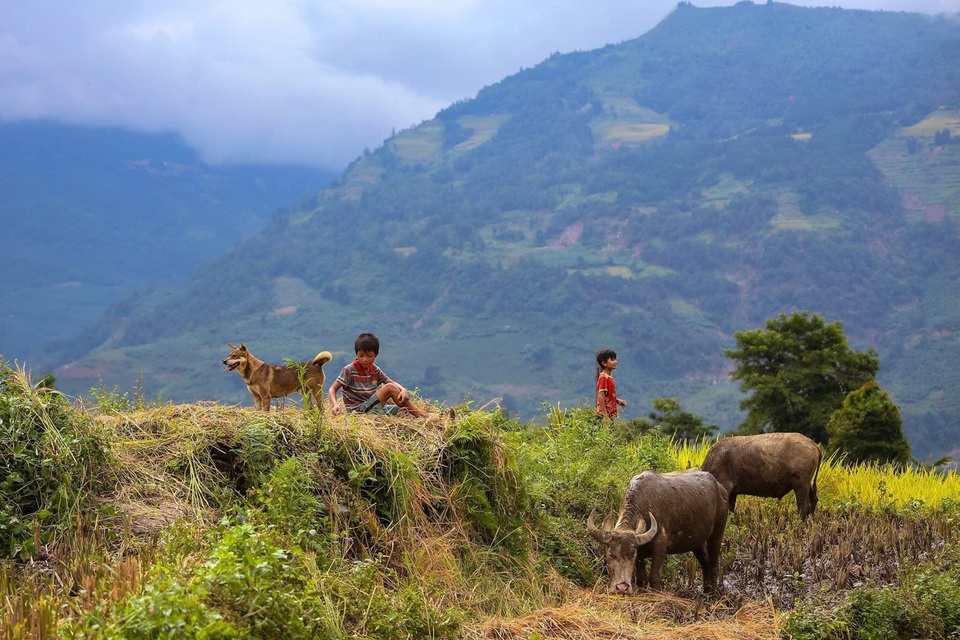 Y Tý đẹp mê li cả 4 mùa: Vùng đất khiến du khách trở lại mười lần chưa chán - 10 Y Tý đẹp mê li cả 4 mùa: Vùng đất khiến du khách trở lại mười lần chưa chán - 10
