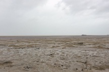 Hy hữu siêu bão Irma "hút cạn" nước biển ở Bahamas