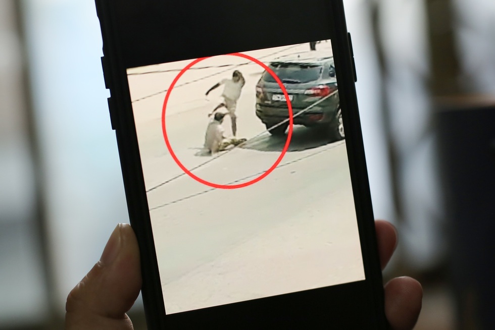 “Hổ báo” trên đường - 1