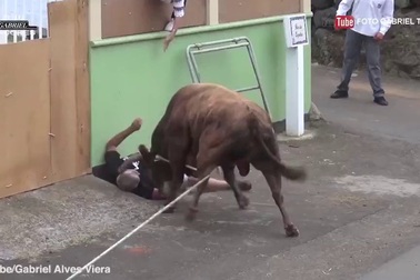 Hãi hùng cảnh bò tót tấn công người trong lễ hội ở Bồ Đào Nha