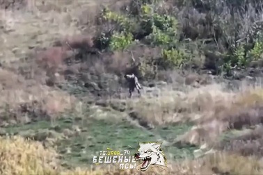 Binh sĩ Nga cõng đồng đội bị thương vượt 2km, thoát hiểm thành công