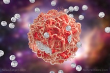 Nghiên cứu mới: Dùng tế bào "hoại tử" để...chữa ung thư
