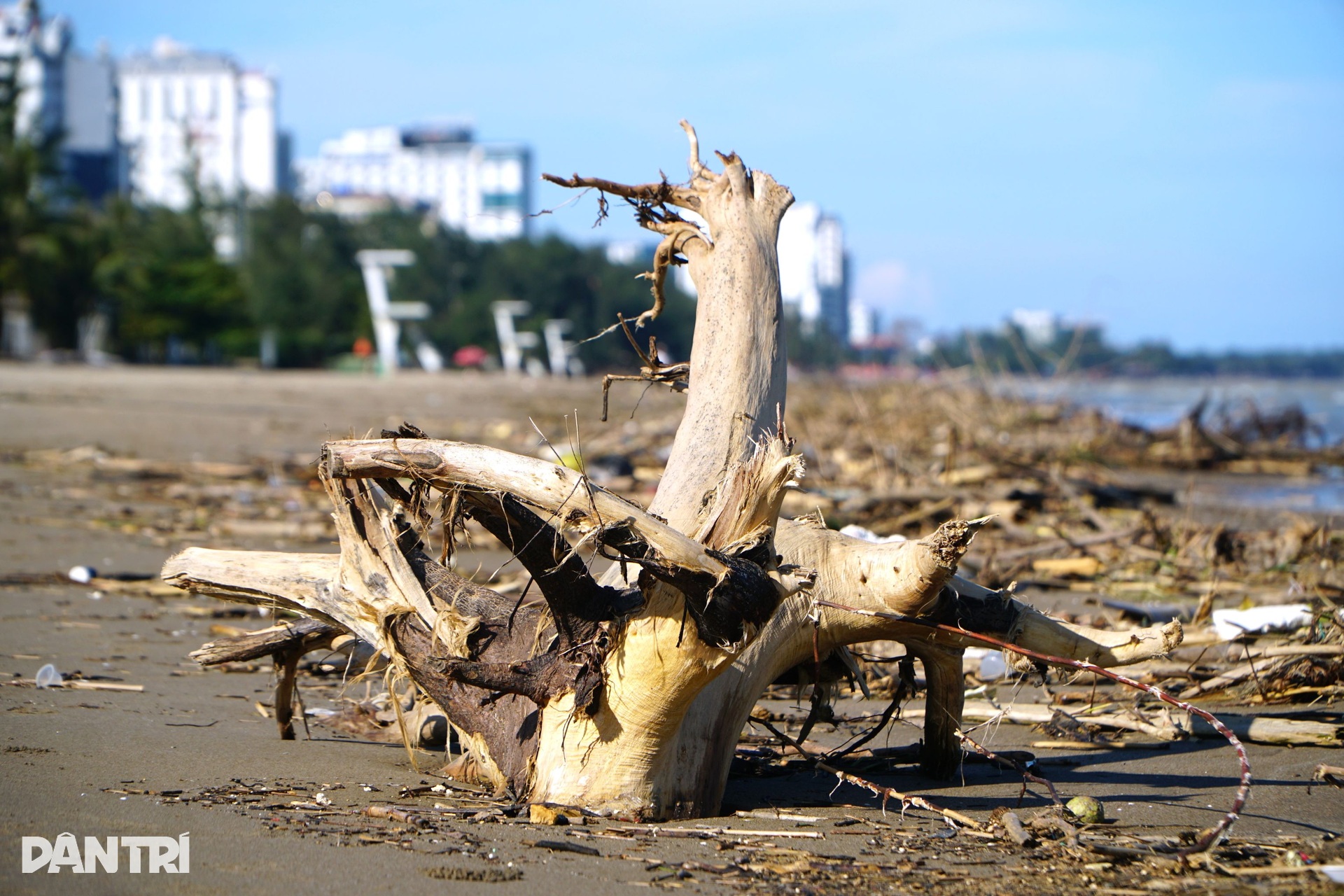 Biển Sầm Sơn tan hoang, ngổn ngang rác thải sau bão Bualoi - 3