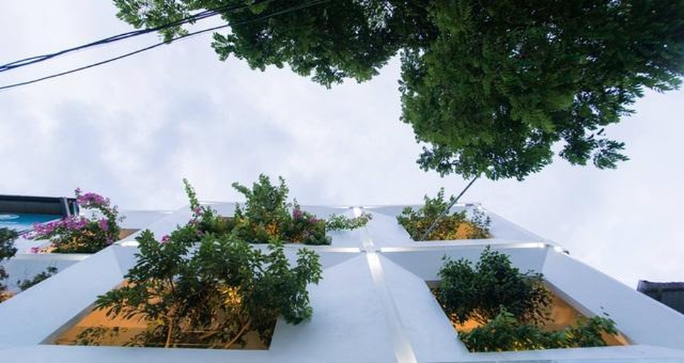 “Khu rừng nhiệt đới” nằm ẩn trong nhà phố khiến ai bước vào cũng trầm trồ - 12