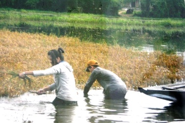 “Khi tổ quốc cần, thanh niên xin sẵn sàng”