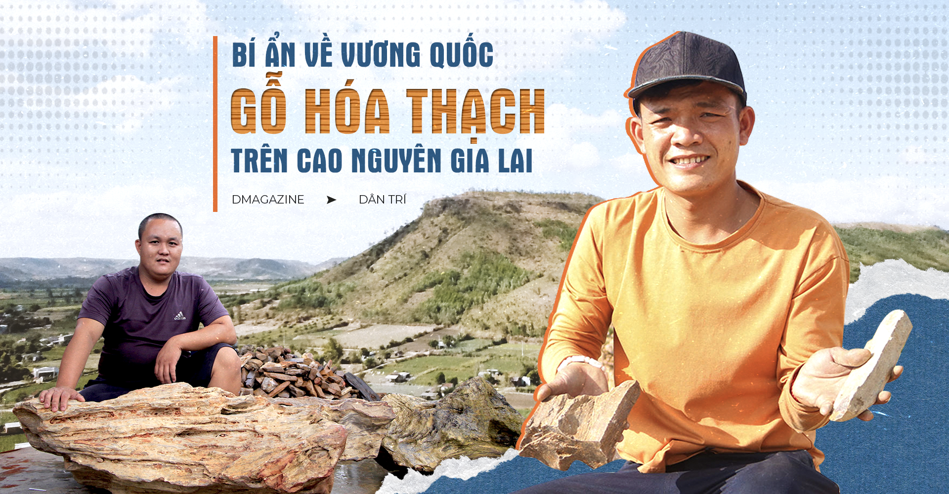 Bí ẩn về vương quốc gỗ hóa thạch trên cao nguyên Gia Lai