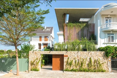 Ngôi nhà xanh có cả vườn cây mini trong toilet