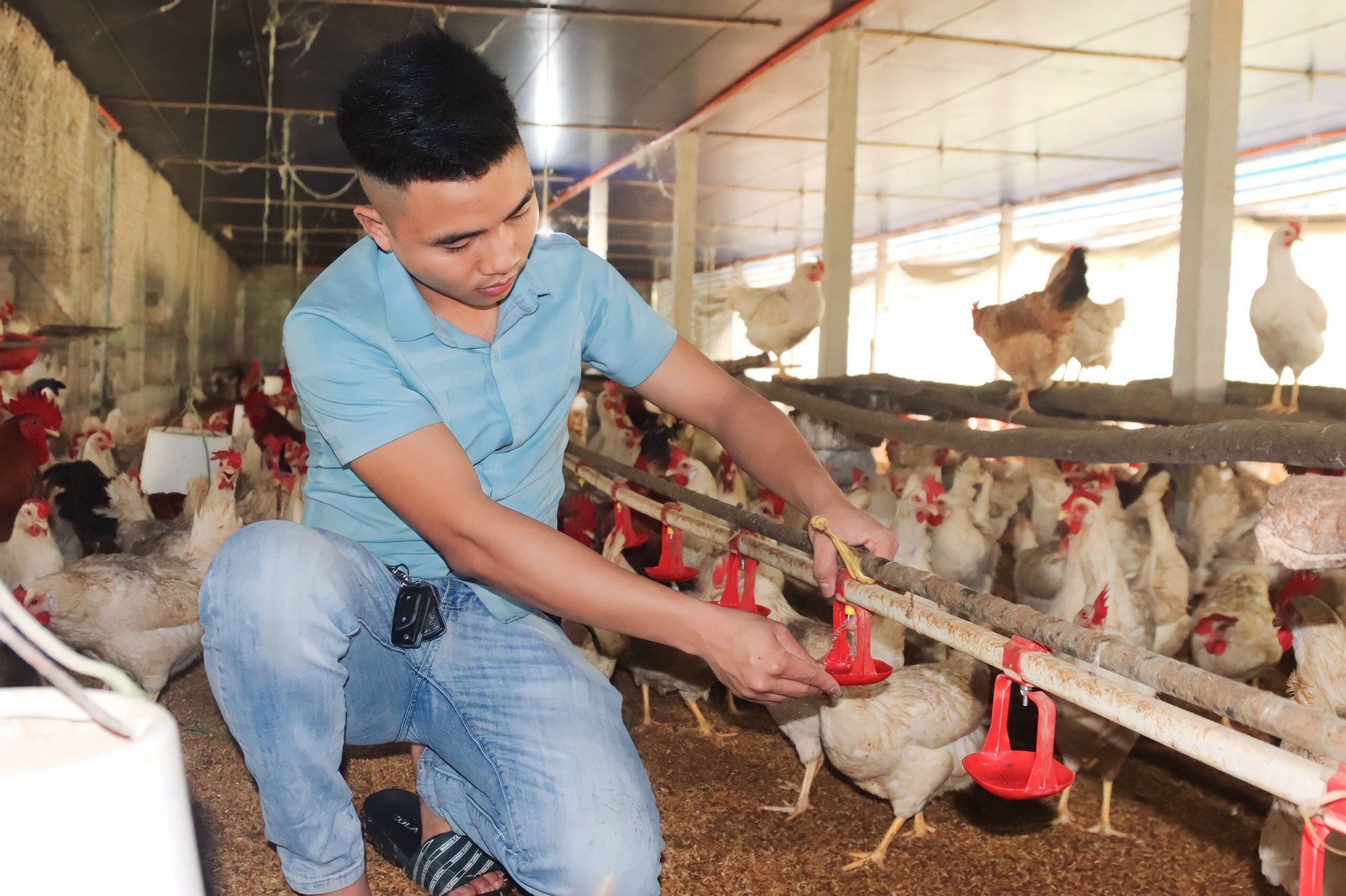 Hành trình từ tay trắng đến chủ trang trại tiền tỷ của chàng trai trẻ - 1 Hành trình từ tay trắng đến chủ trang trại tiền tỷ của chàng trai trẻ - 1
