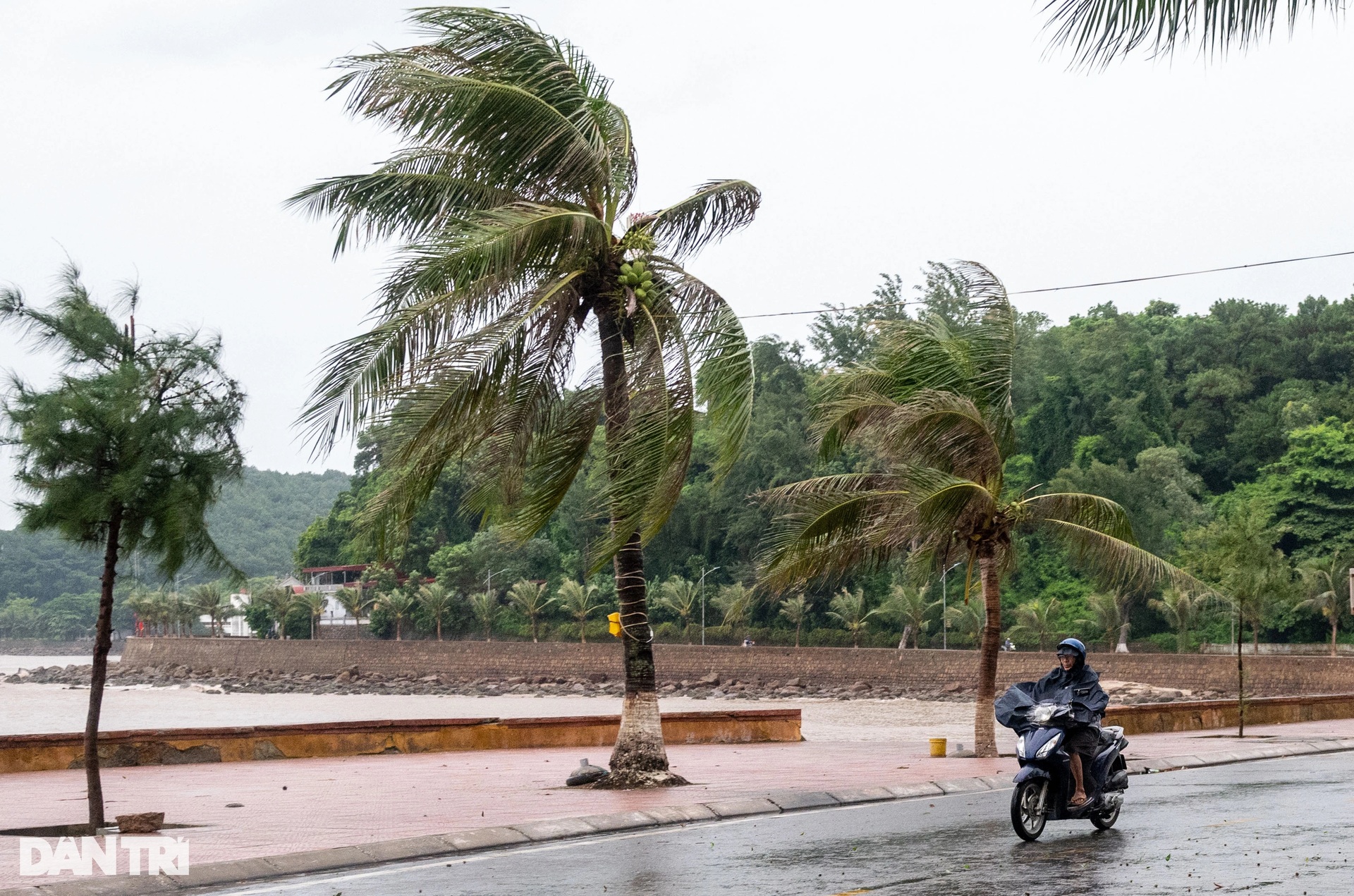 Sóng lớn ở biển Đồ Sơn, người dân lo ngại trước sức mạnh của bão Yagi - 1 Sóng lớn ở biển Đồ Sơn, người dân lo ngại trước sức mạnh của bão Yagi - 1