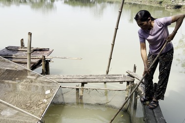 Cuộc sống ở nơi quy hoạch ga đường sắt cao tốc 350km/h