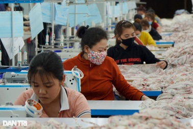 Vận động doanh nghiệp ưu tiên tuyển người lao động về quê tránh dịch