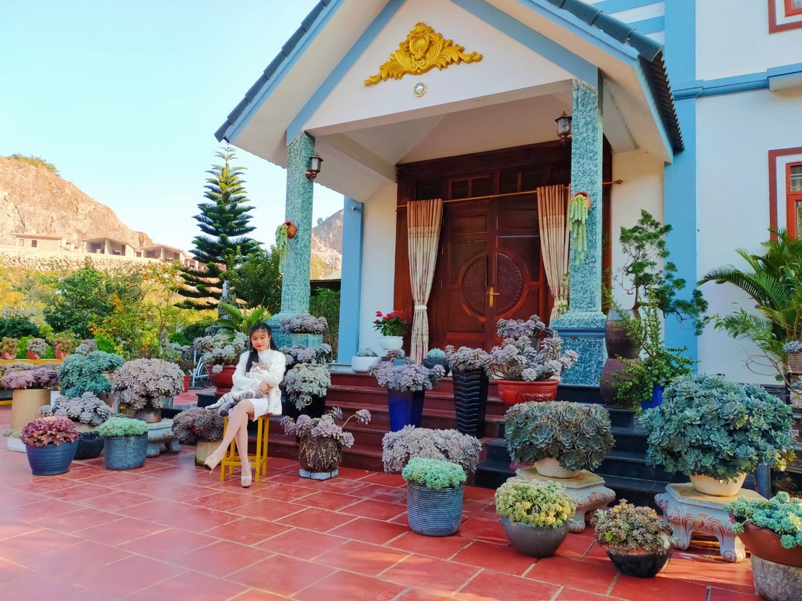 Câu chuyện cảm động phía sau sở thích sưu tầm sen đá của cô nàng 10x - 2 Câu chuyện cảm động phía sau sở thích sưu tầm sen đá của cô nàng 10x - 2