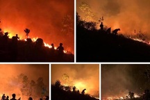 Xót xa trước những vần thơ viết về cảnh cháy rừng dữ dội ở Nghệ An - Hà Tĩnh