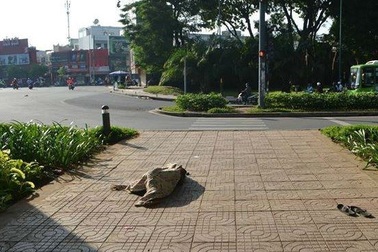 Người đàn ông tử vong bất thường dưới cầu vượt Hoàng Minh Giám